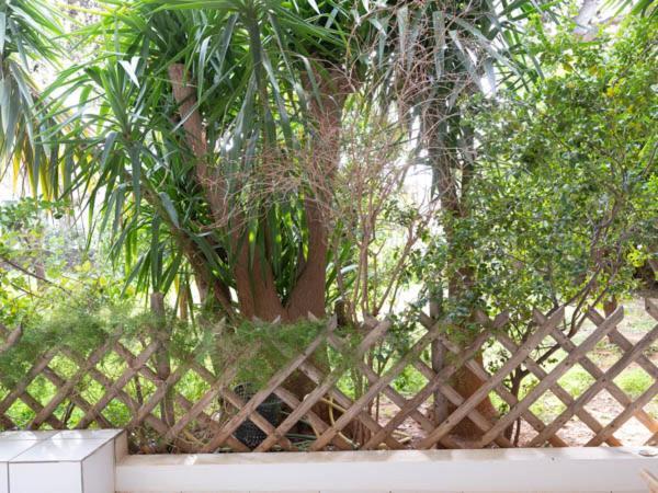 Апартаменти Vouliagmeni'S Secret Garden Near The Sea Афіни Екстер'єр фото
